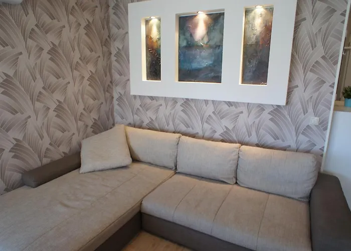 Tulip Family * Siófok