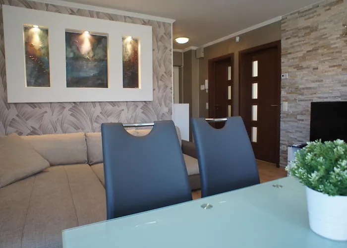 Tulip Family * Siófok